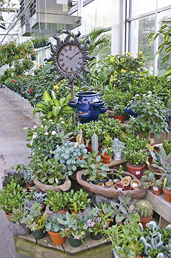 The Garden Barn Shines - Garden Center Magazine