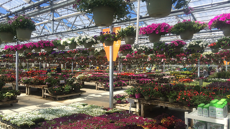 Petitti Garden Centers Closes One Of Its Nine Locations Garden