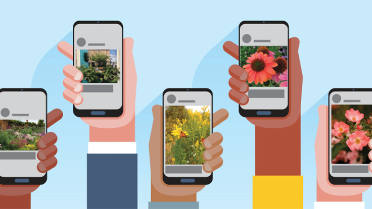 Are you truly leveraging your position on social media? - Garden Center Magazine