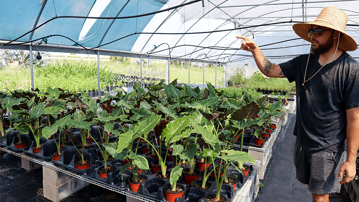 Programa de horticultura de Florida Community College