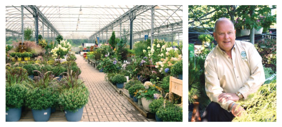 Sheridan nurseries indoor plants