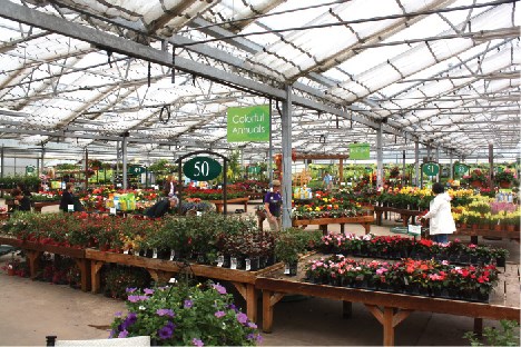 Al’s Garden Centers & Greenhouses | Right place, right time - Garden
