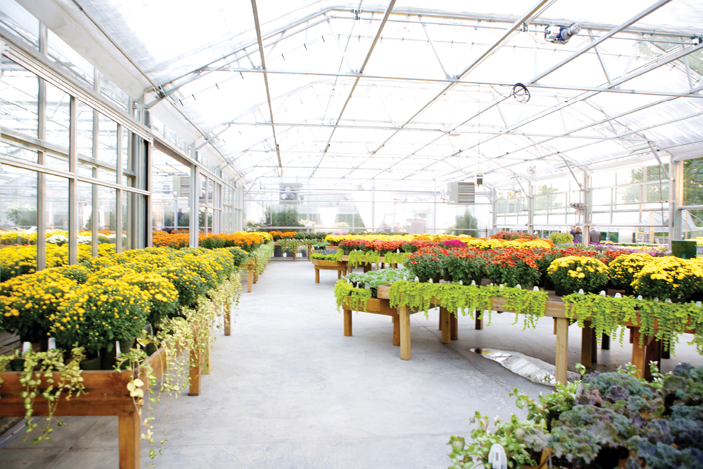 Sheridan Nurseries One Hundred Years of People Plans and Plants