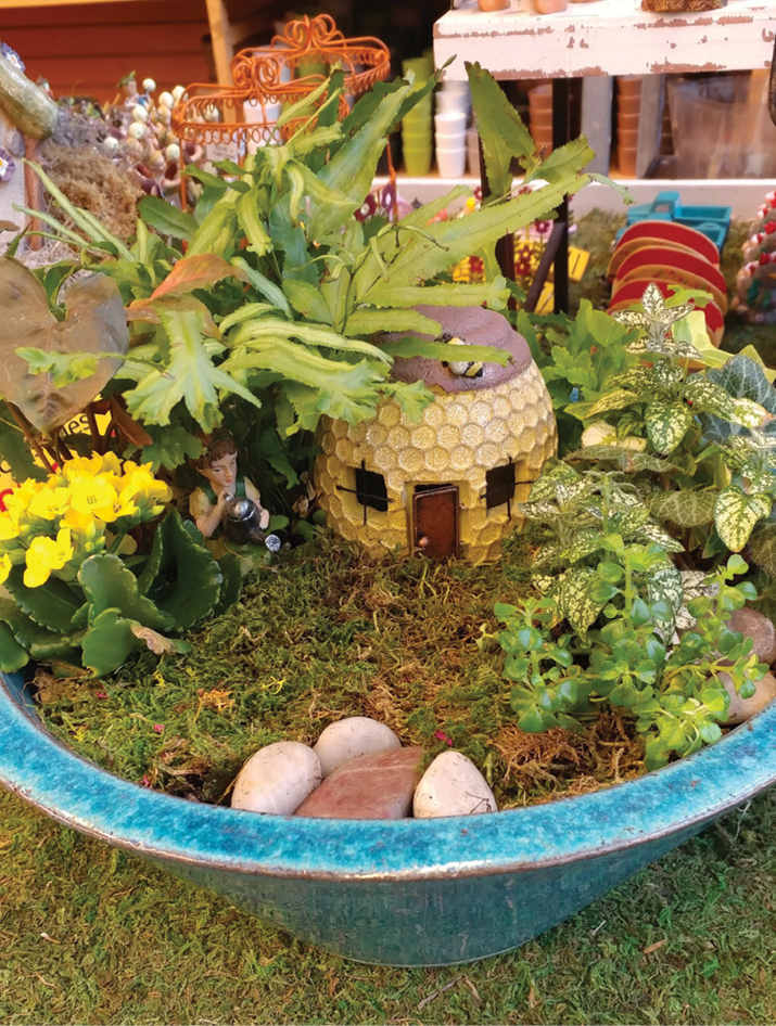 Top 5 Trends In Miniature Gardening Garden Center Magazine