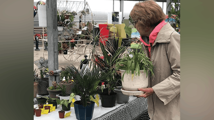 Trading trendy plants - Garden Center Magazine