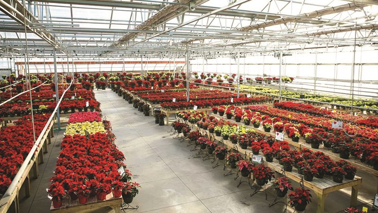 Garden center plant fundraiser success stories