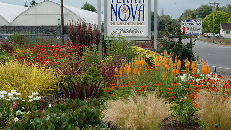 Terra Nova Nurseries celebrates 25 years