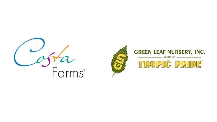 Costa Farms acquires Green Leaf Nursery
