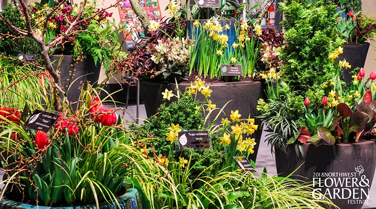 Marketplace Events Purchases Northwest Flower Garden Festival