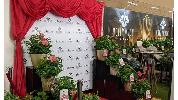 J. Berry debuts First Lady Hollywood Hibiscus