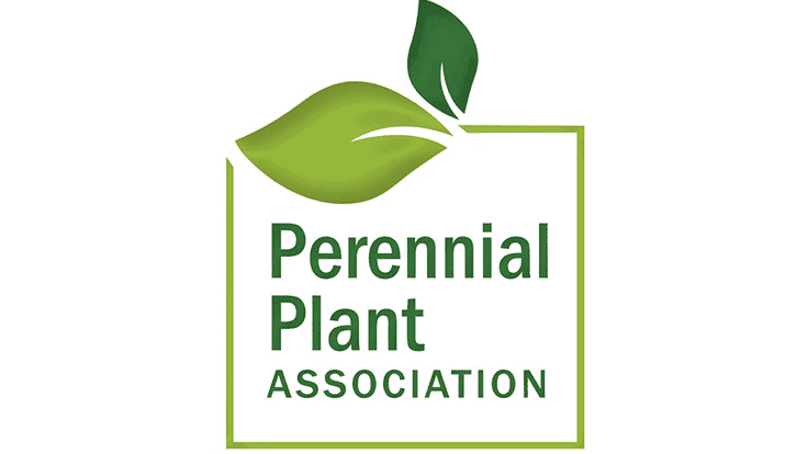 PPA announces 2022 Perennial Plant of the Year 