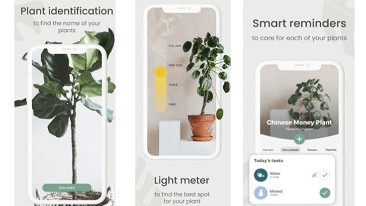 How this Swedish plant care app can help plant parents at any stage