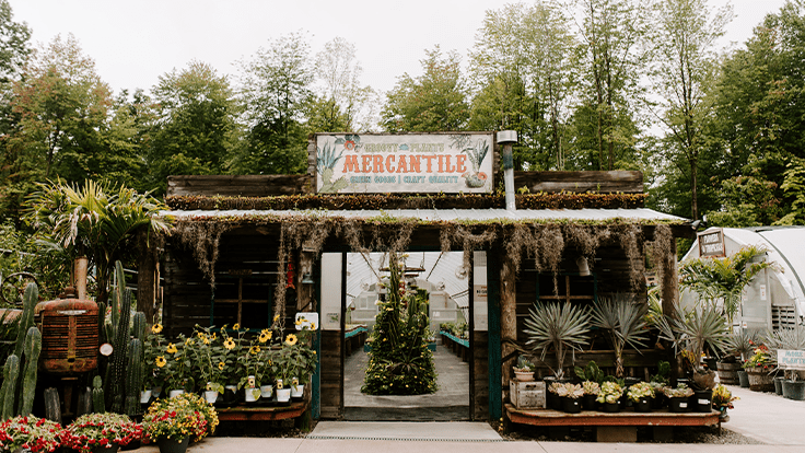 Groovy Plants Ranch expands its destination garden center and nursery