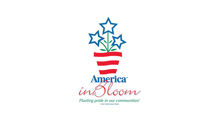 America in Bloom award results announced