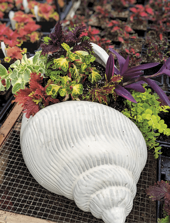 A Pot To Plant Garden Center Magazine