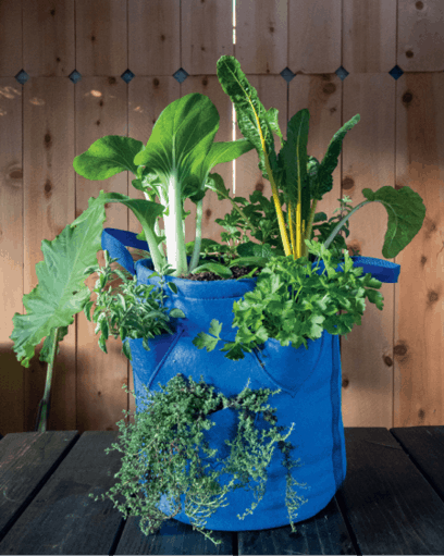 Grow Bag Gardening: The Revolutionary Way to Grow Bountiful Vegetables,  Herbs, Fruits, and Flowers in Lightweight, Eco-friendly Fabric Pots by  Kevin Espiritu