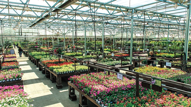 Inside of greenhouse