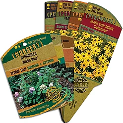 a garden center stake tag with yellow flowers