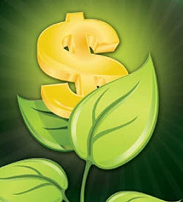 concept image with green leaves and yellow dollar sign to look like flower