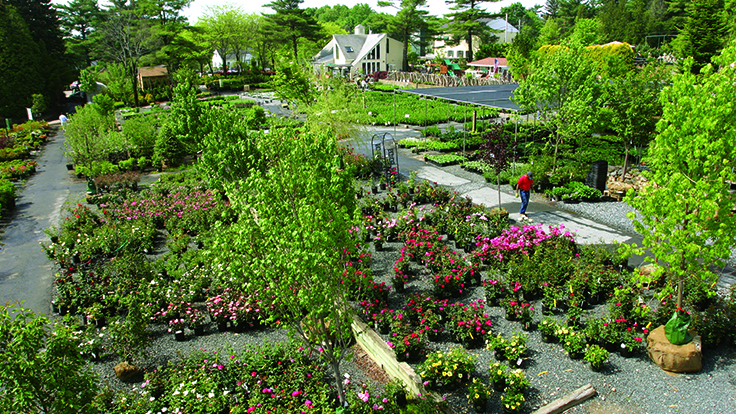 Garden Centre Weston Fasci Garden