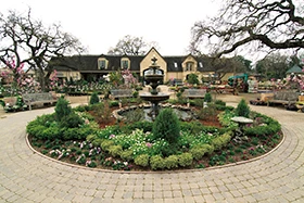 Home with fountain and plants in front