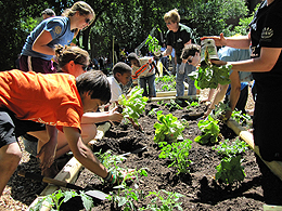 Burpee Home Gardens Youth Garden Award winners chosen Garden Center