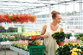 A woman hold a plant and a green shopping basket while browsing annuals at a garden center.