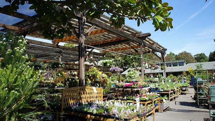 Outdoor garden center