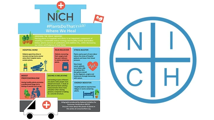 NICH infographic