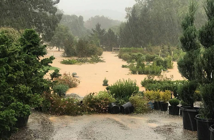 A flooded outdoor garden center.