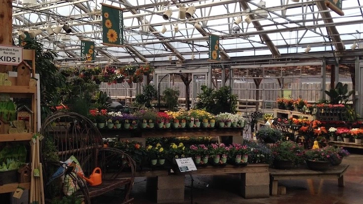 Photo by Stephanie Antal