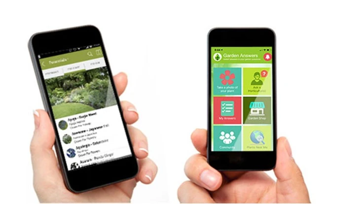 Photo courtesy of Garden Answers and Dr. Allan Armitage’s Great Garden Plants