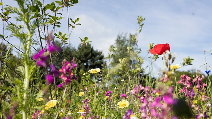 © Christian Schwier | ADOBE STOCK