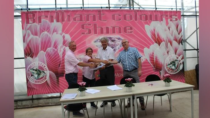 Photo courtesy of Syngenta Flowers