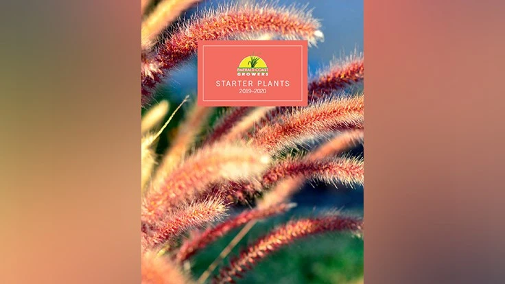 Image courtesy of Emerald Coast Growers