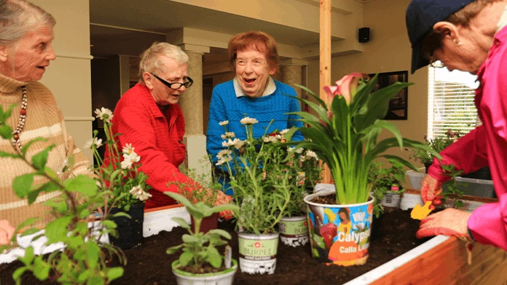Therapeutic horticulture provides opportunities for socialization and renewed purpose as residents care for their garden.