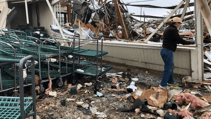 All photos courtesy of North Haven Gardens.