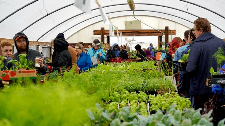 Community members can buy cheap, locally grown plants at Sunshine Community Gardens' annual plant sale.
