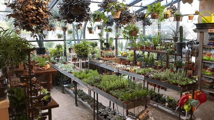 Allisonville Nursery