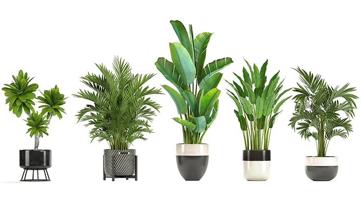 © Yurii | Adobe Stock