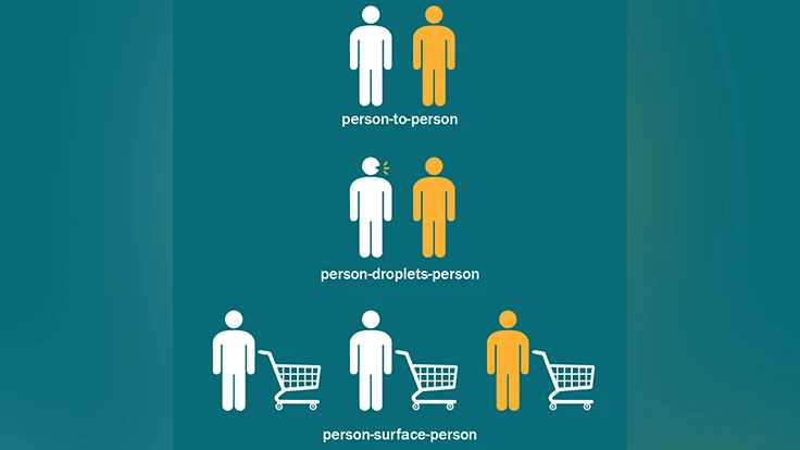 Transmission routes of the new coronavirus.