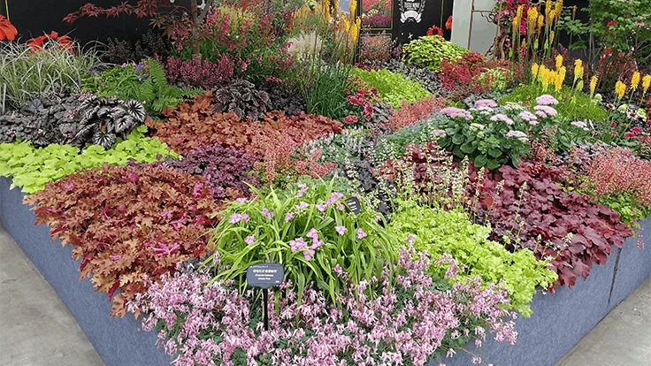 Beijing Florascape 2020 Floral Show.