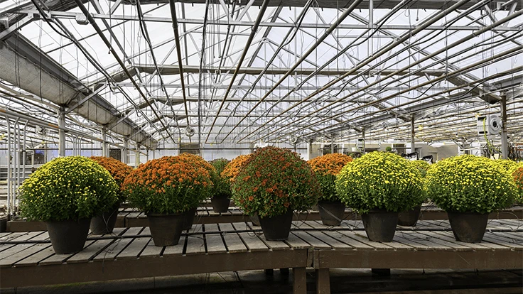 TammiMild | Adobe Stock