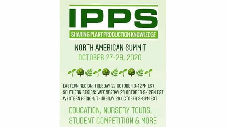 IPPS Southern Region