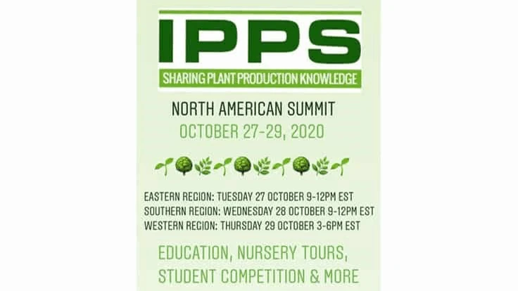 IPPS Southern Region