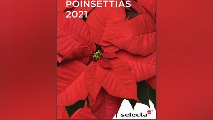 The cover of Selecta One's 2021 poinsettia catalog