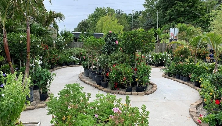 A Proper Garden in Delaware, Ohio