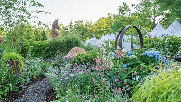 Photo courtesy of PHS