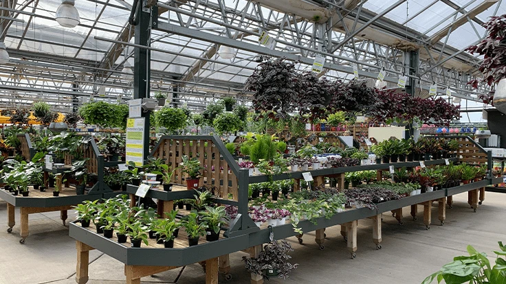 Houseplants on display at Wilson's Garden Center