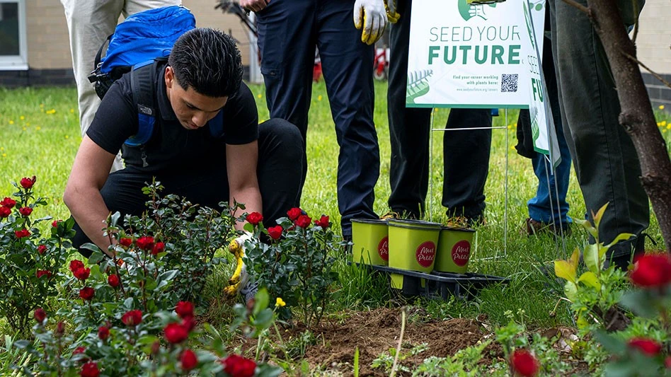 A student at Abraham Lincoln High School plants a Petite Knock Out rose.